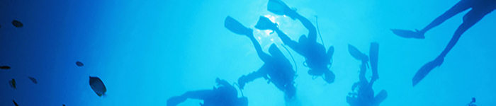 Scuba Divers Underwater --- Image by © Royalty-Free/Corbis